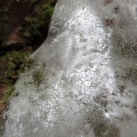 012118-KadunceRiver-083
