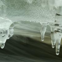 012224-CentennialPark-024