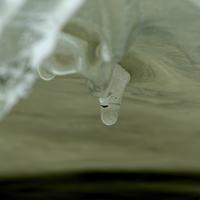 012224-CentennialPark-028