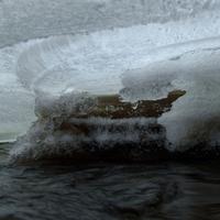 012224-CentennialPark-034