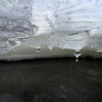 012224-CentennialPark-036