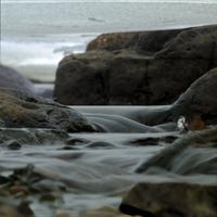 012224-CentennialPark-125