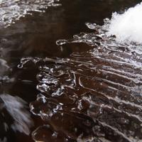 012520-KadunceRiver-059
