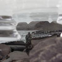 012625-centennialpark-034
