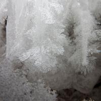 020121-CentennialPark-137