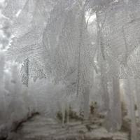 020121-CentennialPark-168