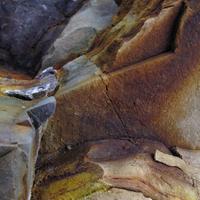 020207-centennialpark-033