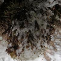020319-KadunceRiverDerondaBay-056