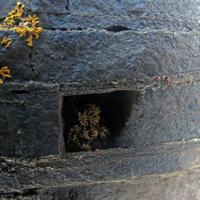 020708-centennialpark-107