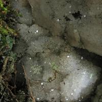 020708-centennialpark-120