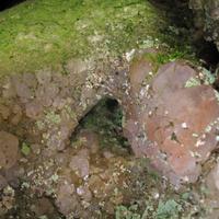 020708-centennialpark-125