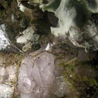 020708-centennialpark-140