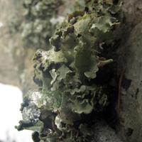 020708-centennialpark-143