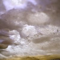 020909-centennialpark-6x6-002