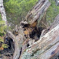 020909-centennialpark-6x6-006