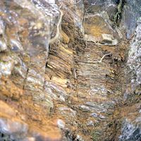 020909-centennialpark-6x6-007