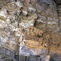 020909-centennialpark-6x6-008