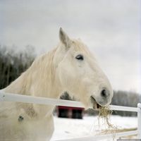 020909-centennialpark-6x6-009