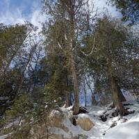 021025-CascadeRiverSP-049