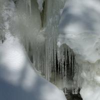 021025-CascadeRiverSP-124