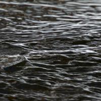 021025-CascadeRiverSP-134