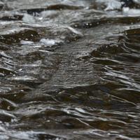 021025-CascadeRiverSP-135