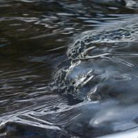 021025-CascadeRiverSP-143