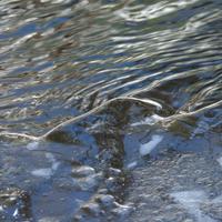 021025-CascadeRiverSP-145