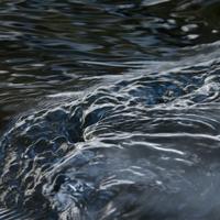 021025-CascadeRiverSP-148