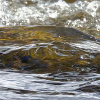 021025-CascadeRiverSP-151