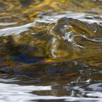 021025-CascadeRiverSP-153