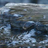021025-CascadeRiverSP-159
