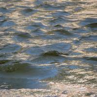 021417-DevilTrackRiver-082