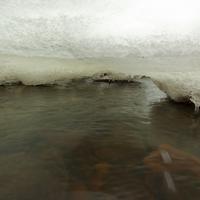 021724-KadunceRiver-081