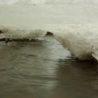 021724-KadunceRiver-083
