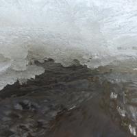 021724-KadunceRiver-255