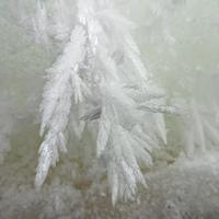 022121-CentennialPark-061