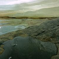 022121-CentennialPark-082