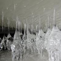 022311-centennialpark-109