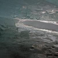 022408-silverharbour-020