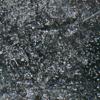 022408-silverharbour-068