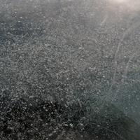 022408-silverharbour-076