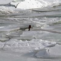 022408-silverharbour-086