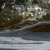 022623-CascadeRiver-153
