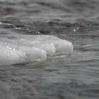 022623-CascadeRiver-166