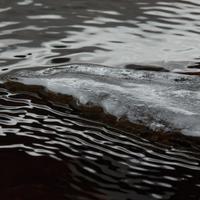 022623-CascadeRiver-197