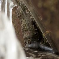 022920-CascadeRiver-FallRiver-179
