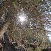 031024-CascadeRiver-DevilTrackRiver-111