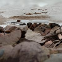 031124-DevilTrackRiver-046