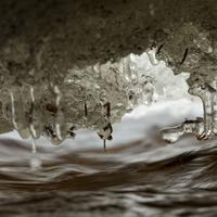 031124-DevilTrackRiver-055